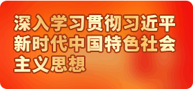 大丰国际(中国区) - 官方网站